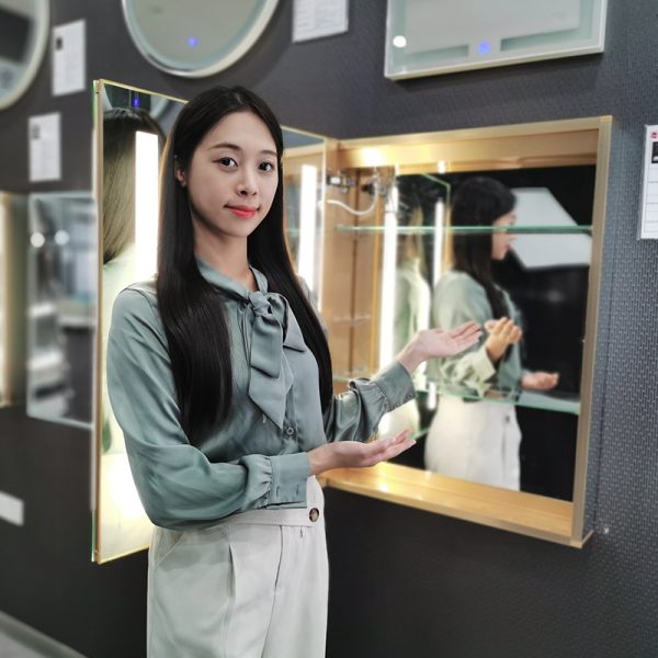 hans doors LED mirror cabinet